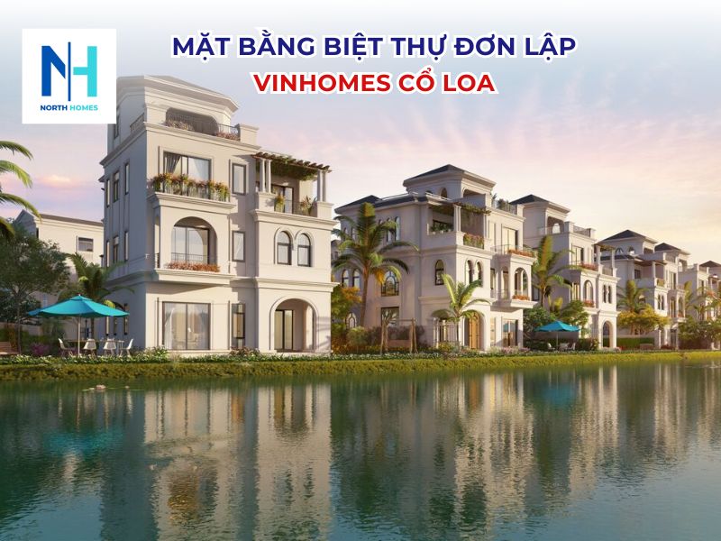 Mặt bằng biệt thự đơn lập Vinhomes Cổ Loa