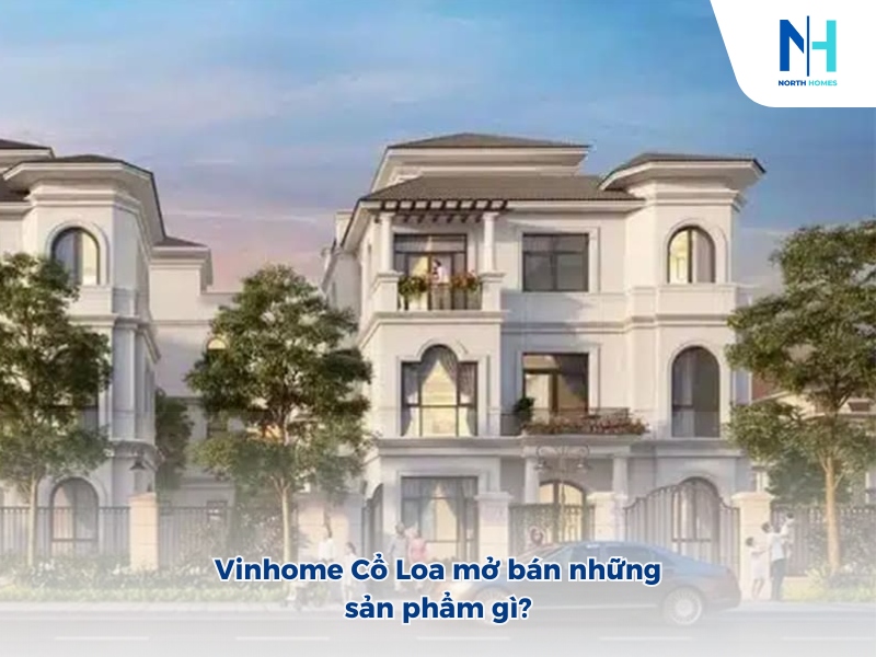 Vinhome Cổ Loa mở bán những sản phẩm gì