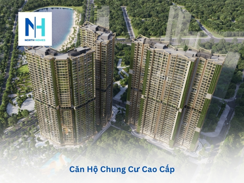 Căn hộ chung cư cao cấp