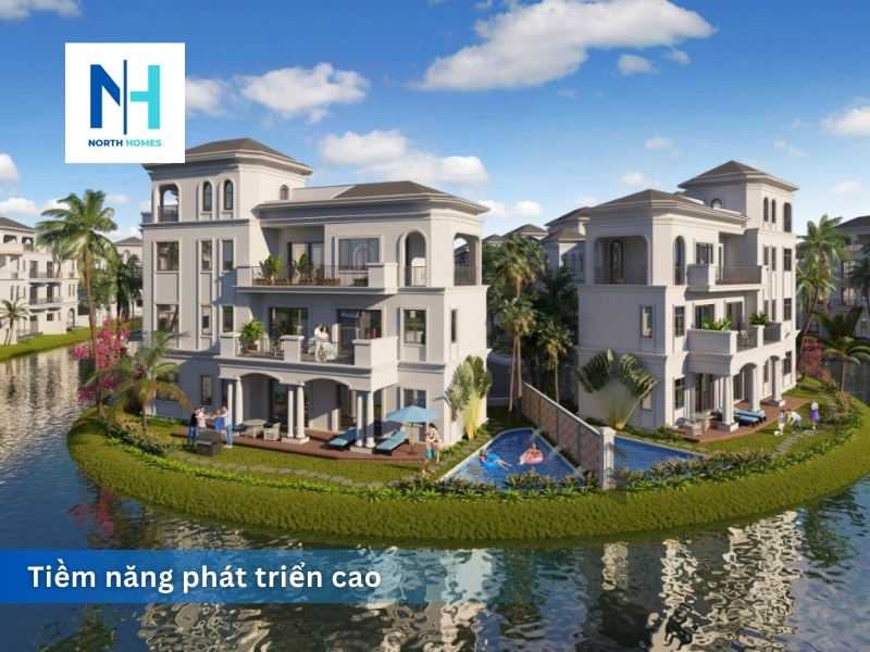 Tiềm năng phát triển cao