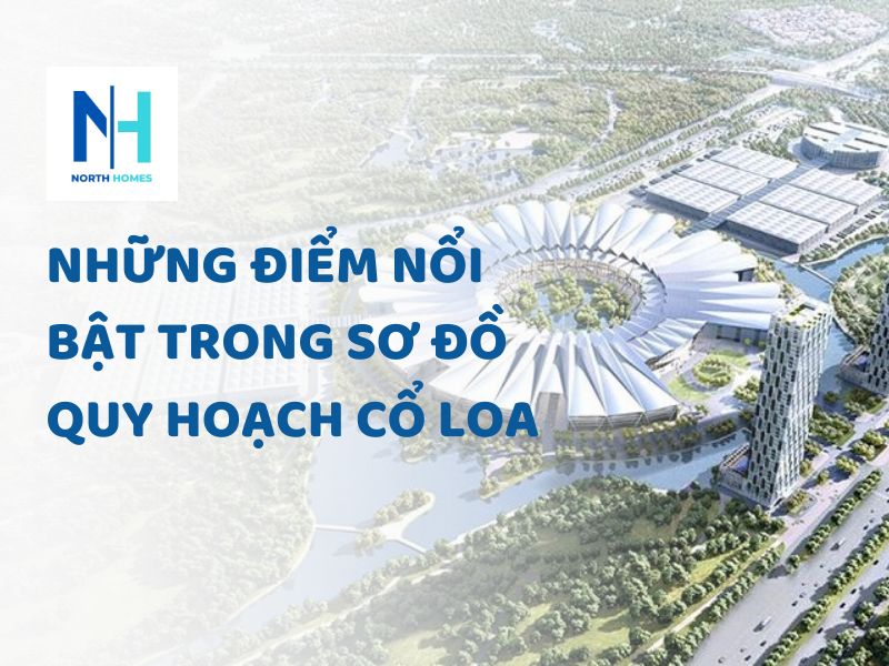 Những Điểm Nổi Bật Trong Sơ Đồ Quy Hoạch Cổ Loa