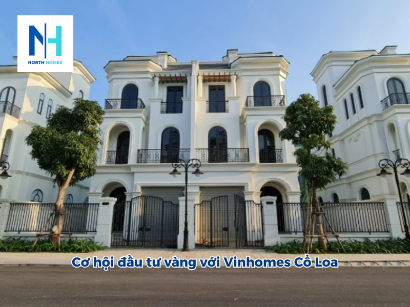 Biệt thự song lập cổ loa