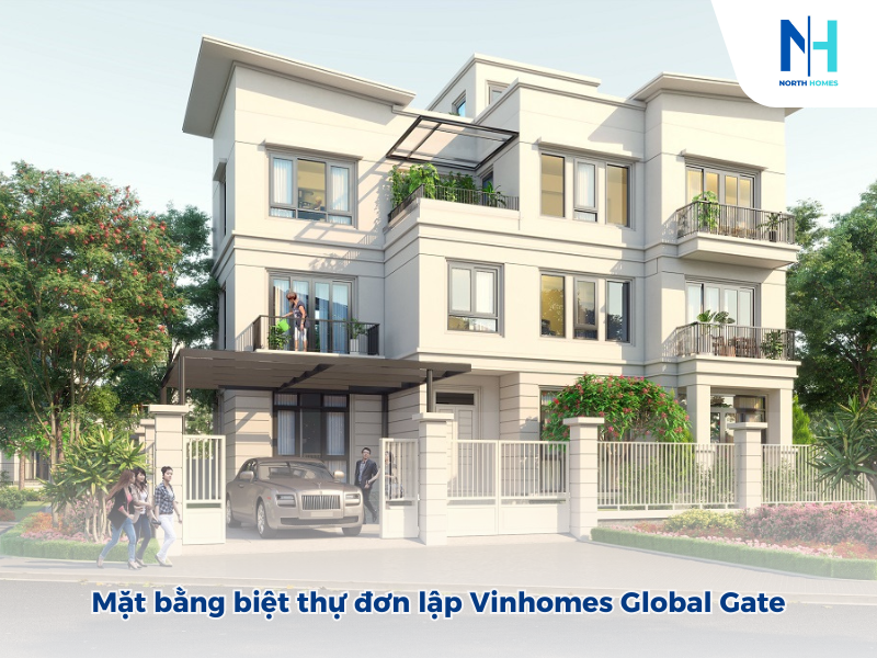Mặt bằng biệt thự đơn lập Vinhomes Global Gate