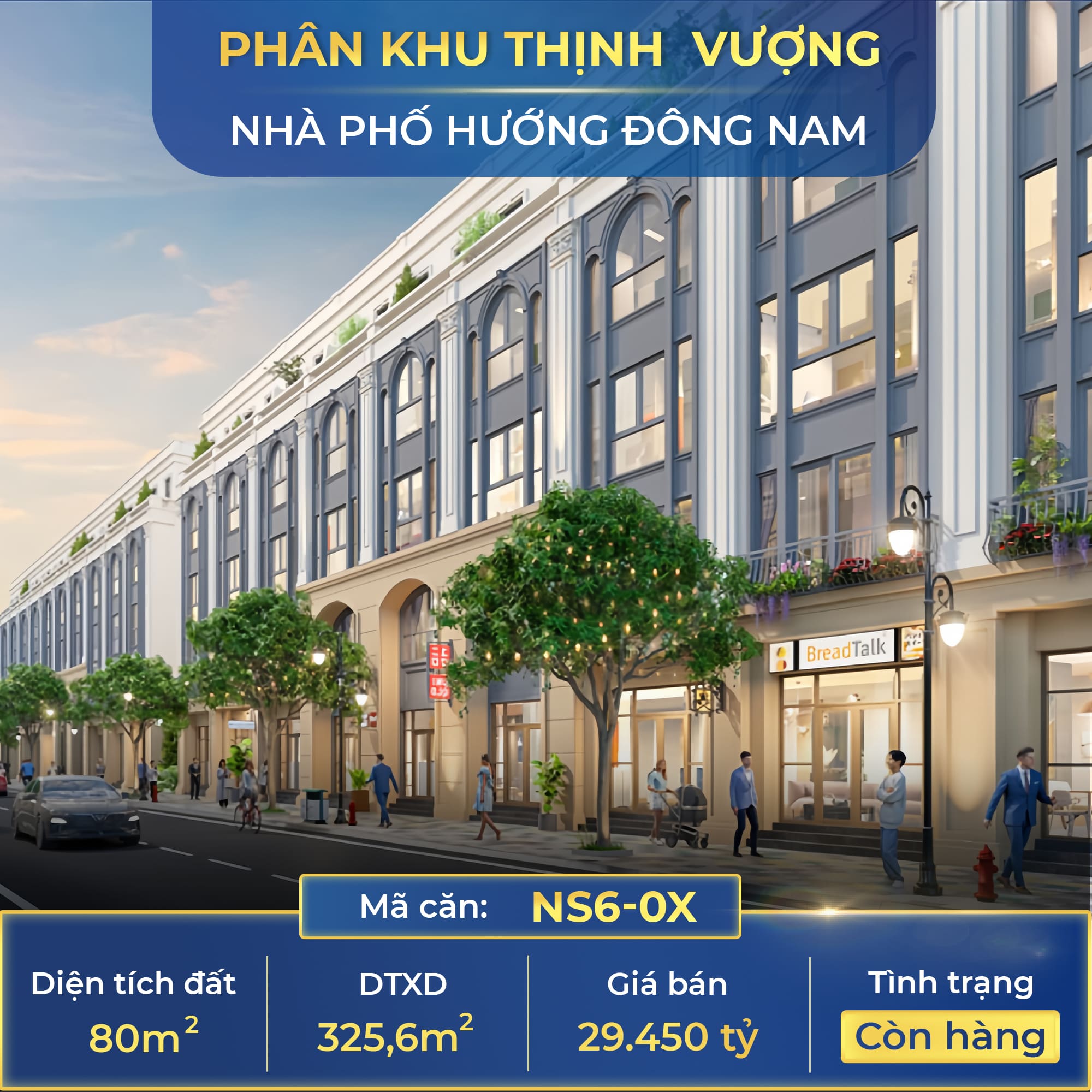 Nhà phố NS6-0X - 325,6m2