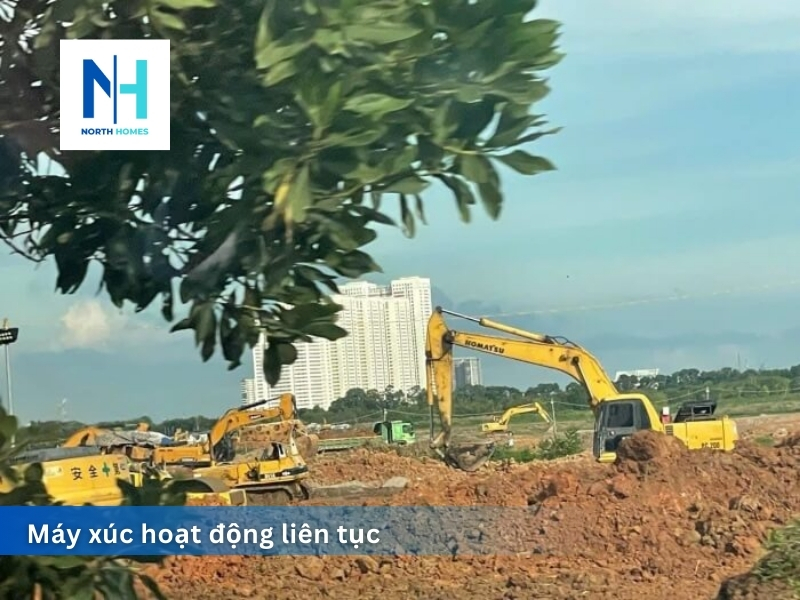 Máy xúc hoạt động liên tục
